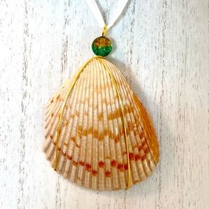 149. Cockle shell ornament